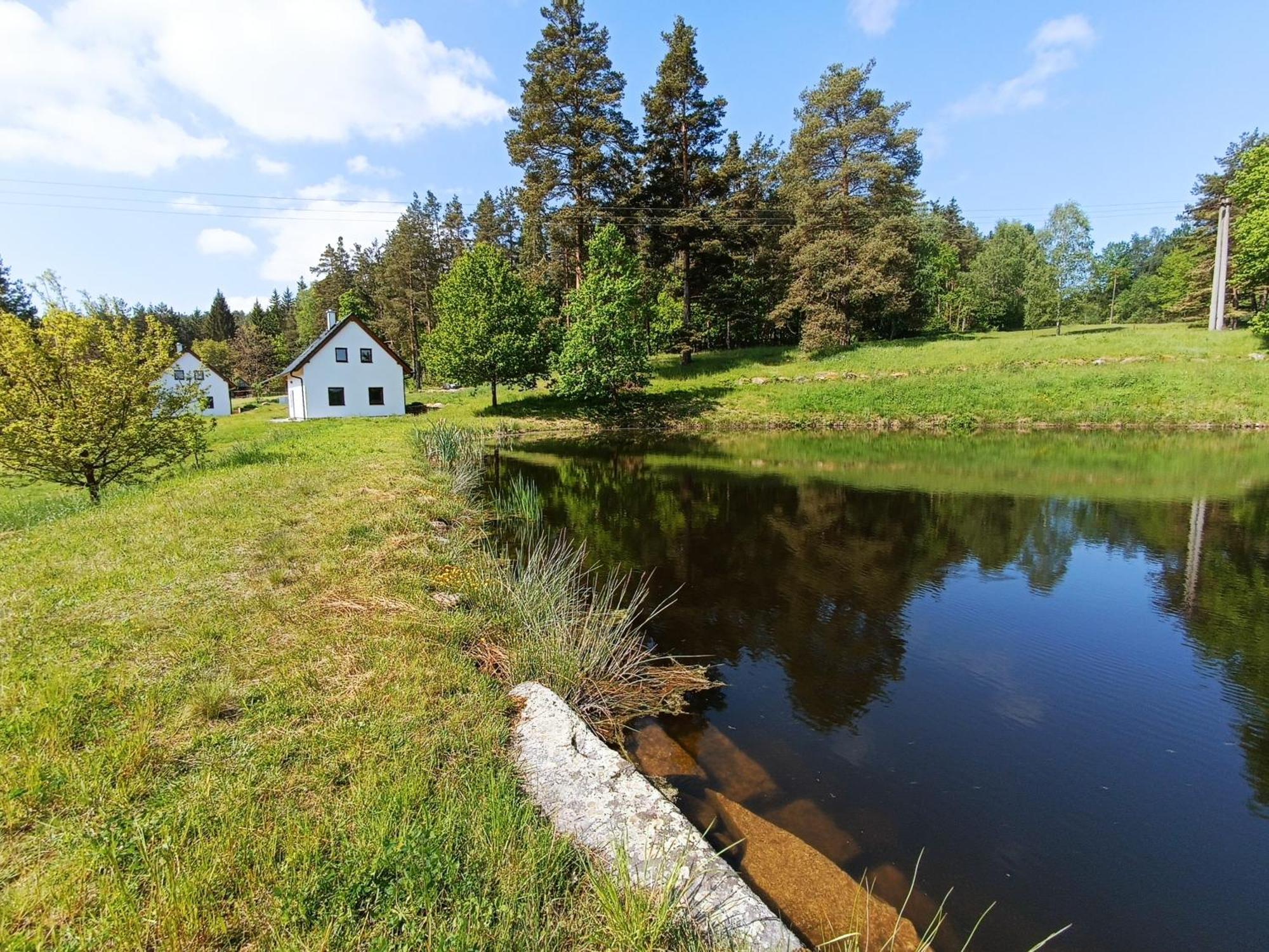Klidna Lokalita Na Kraji Lesa, Cely Dum S Uschovnu Kol Villa Nová Bystřice Eksteriør bilde