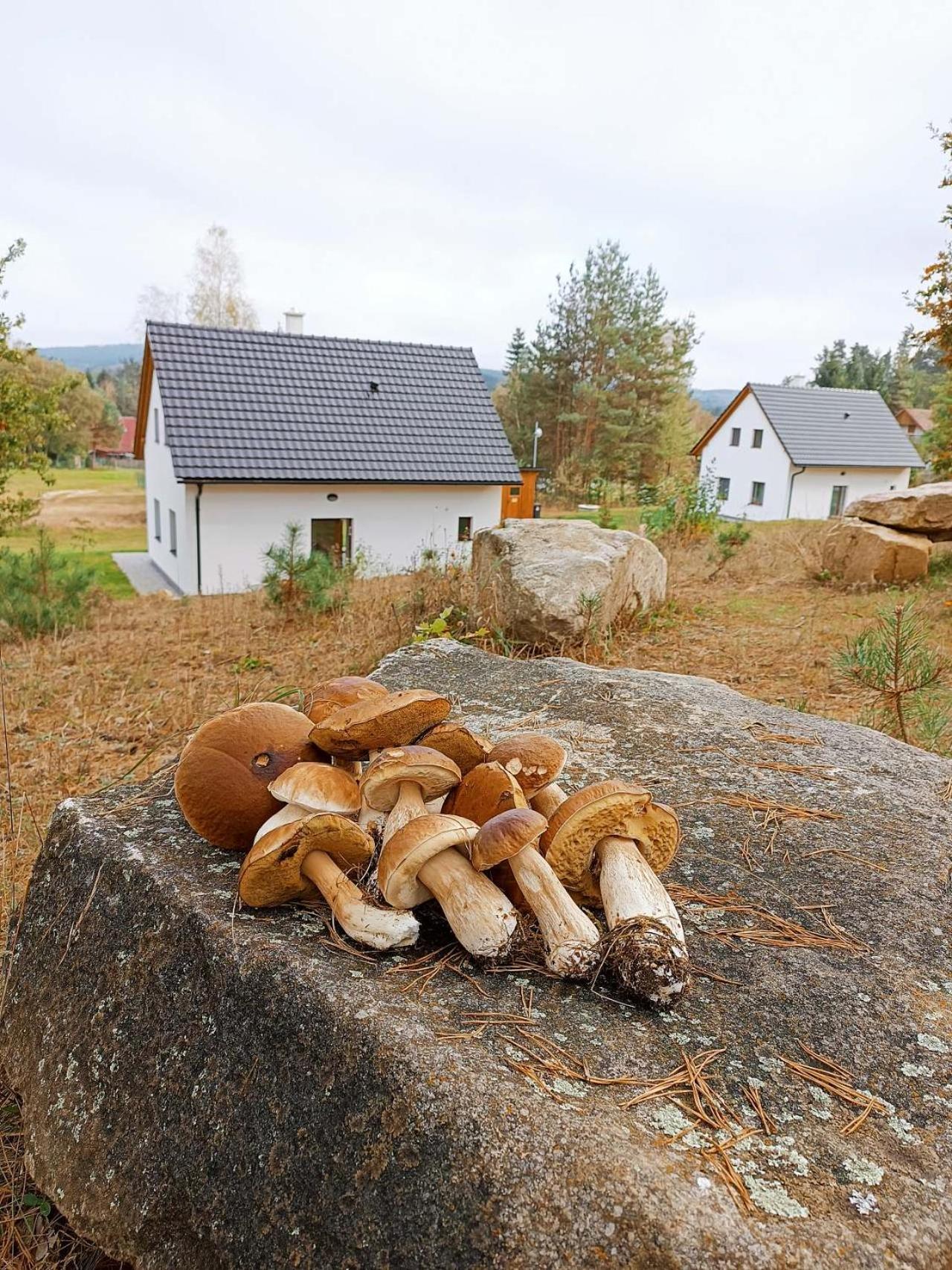 Klidna Lokalita Na Kraji Lesa, Cely Dum S Uschovnu Kol Villa Nová Bystřice Eksteriør bilde